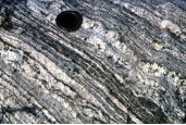 What type of metamorphic feature is shown in this photograph?   A)  cleavage in slate B)  hornfels C)  foliation in banded gneiss D)  thrust fault