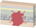 What type of metamorphism would occur in this setting?   A)  regional metamorphism B)  contact metamorphism C)  subduction D)  thrust faulting