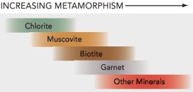 Based on the image and your knowledge of metamorphic minerals, which of the following is true?   A)  Garnet is diagnostic of moderate- to high-grade metamorphic conditions. B)  Garnet tends to be formed under low-grade metamorphic conditions. C)  The occurrence of garnet cannot be used in conjunction with the occurrence of any other minerals for determining metamorphic conditions. D)  Chlorite is diagnostic of the highest grade of metamorphic conditions.