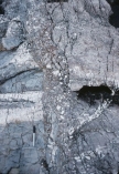 What type of feature is shown in this photograph?   A)  fault scarp B)  columnar joints C)  cleavage D)  hogback E)  fault zone