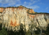 What features are shown in this photograph of unmetamorphosed sandstone?   A)  faults B)  folds C)  cleavage D)  foliation E)  joints