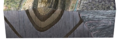 What type of fault probably marks the boundary between the cleaved rocks on the left and the black and white banded rocks on the right?   A)  normal fault B)  reverse fault C)  transform fault D)  it is not a fault, it is an unconformity E)  it is not a fault, it is an intrusive contact