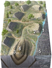 If the view is looking north, in what direction were the rocks shortened to form the fold and the cleavage?   A)  north-south B)  east-west C)  northwest-southeast D)  northeast-southwest