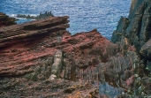 What type of feature is shown in this photograph of Siccar Point, Scotland?   A)  monocline B)  thrust fault C)  normal fault D)  unconformity