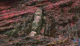 James Hutton inferred that the rocks below the contact at Siccar Point were vertical gray sandstone and shale and the rocks above were gently dipping red sandstone and conglomerate. Therefore, the histories of these rocks:   A)  are different B)  are the same C)  are not able to be interpreted