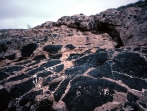 This photograph shows an upper light-colored conglomerate and a lower dark basalt. Which of the following statements is true?   A)  the conglomerate is older because it overlies the dark basalt B)  the conglomerate is younger because it contains clasts of the dark basalt C)  the basalt is younger because it is crosscut by fractures filled with conglomerate D)  none of these