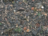 What kind of geologic feature is shown in this photograph?   A)  contact metamorphism B)  unconformity C)  desert varnish D)  desert pavement E)  none of these