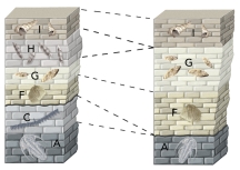 Unit C is present in the left column but not the right column because:   A)  rocks in the right column were tilted and eroded B)  it was not deposited or was eroded away C)  it has different kinds of fossils than rocks in the right column D)  all of these