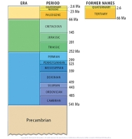 This figure shows the geologic timescale. Which period listed below would be part of the Paleozoic?   A)  Permian B)  Pennsylvanian C)  Mississippian D)  Cambrian E)  all of these