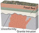 What would fossil ages from the geologic timescale and an isotopic age on the granite tell us about the age of the unconformity?   A)  The unconformity is older than the isotopic age of the granite. B)  The unconformity is older than the age assigned to the fossils. C)  The granite is younger than the unconformity. D)  It is not possible to have fossils preserved so close to granite. E)  None of these.