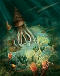 This art work shows life on the sea bottom, at a time when fishes and creatures with shells appeared on Earth. What time period is represented?   A)  Mesozoic B)  Cenozoic C)  Precambrian D)  Paleozoic
