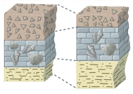 If you were trying to correlate these two sequences of rocks, what would probably be the most straightforward strategy to use?   A)  determine numeric ages on pieces of rock in the landslide on top B)  compare the fossils of the middle layers C)  compare the thicknesses of the middle layer D)  compare the thicknesses of the lower layer