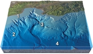 Which of the numbered features on this figure is a continental slope?   A)  1 B)  2 C)  3 D)  4