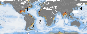 Which of these numbers is near a site with active seafloor spreading?   A)  1 B)  2 C)  3 D)  4 E)  none of these