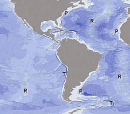 Which area shown on the map has the greatest seafloor depth?   A)  T)  trench B)  P)  passive margin C)  R)  oceanic ridges