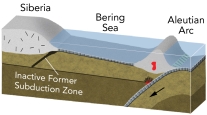 Which of the following is the present plate-tectonic setting of oceanic crust in the Bering Sea?   A)  it contains a mid-ocean ridge B)  it is being generated by back-arc spreading C)  it does not contain any currently active plate boundaries D)  it was formed by thinning of continental crust