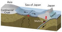 Which of the following is the presently occurring near the Sea of Japan?   A)  oceanic crust in the sea of Japan is being generated by back-arc spreading B)  Japan is moving closer to Asia over time C)  Volcanoes in Japan are related to subduction of oceanic crust that forms in the Sea of Japan D)  all of these
