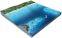 Which of these numbered features is an atoll?   A)  1 B)  2 C)  3 D)  all of these E)  none of these