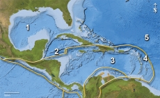This map shows plate boundaries in the Caribbean region. Which number is closest to a transform boundary?   A)  1 B)  2 C)  3 D)  4 E)  5