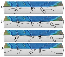 Based on the features of the ocean floor in this figure, which cross section is the most appropriate match?   A)  cross section A B)  cross section B C)  cross section C D)  cross section D
