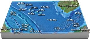 How wide was the narrow sea between the western continent and adjacent volcanic islands 20 million years ago?   A)  wider than it is today B)  same width as it is today C)  a little narrower than it is today D)  it was much narrower