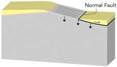 If you had this type of deformation of a region, it would:   A)  thicken the crust and cause subsidence B)  thicken the crust and cause uplift C)  thin the crust and cause subsidence D)  thin the crust and cause uplift E)  none of these