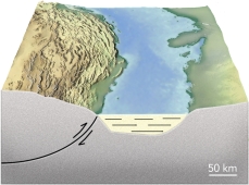 Why is there a basin associated with some thrust faults?   A)  thrust faults thin the crust and cause subsidence B)  thrust faults form passive margins C)  thrust sheets depress the crust in front of the thrust D)  thrust sheets form a continent rift