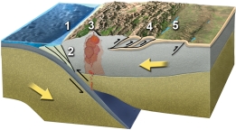 Which of these numbered features is a foreland basin?   A)  1 B)  2 C)  3 D)  4 E)  5
