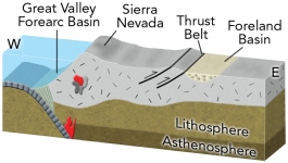What geologic setting is expressed by the formation of the Sierra Nevada and adjacent features?   A)  a continental collision east of to the right of)  the Sierra Nevada B)  an ocean-continent convergent zone C)  a continental rifting event east of to the right of)  the Sierra Nevada D)  continental rifting west to the left of)  of the Sierra Nevada