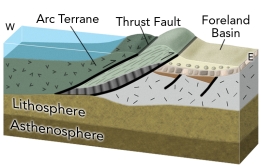 What geologic events are expressed in this cross section of the western U.S. in late Paleozoic - early Mesozoic time?   A)  an old episode of continental rifting that lead to a passive margin B)  collision of an island arc with western North America C)  oceanic crust and sediment that was thrust onto North America D)  a basin formed by the weight of thrust sheets E)  all of these