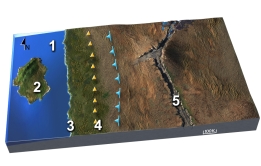 Which statement best describes how region 1 will look in the future?   A)  higher in elevation because magma generated along a subduction zone will rise into and thicken the crust B)  a deep basin that is underlain by oceanic crust and a thin sediment cover C)  above sea level as this area becomes rifted apart