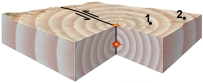 What do the two stars near the center of this block represent?   A)  the location of the earthquake B)  the star at depth is the place where the earthquake is generated C)  the star at depth is the hypocenter D)  the star on the surface is the epicenter E)  all of these