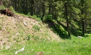 The fault scarp in this photograph apparently formed:   A)  when an earthquake rupture offset the surface B)  when the area beneath the car was dropped down relative to the area to the left C)  more than 50 million years ago D)  when material on the left was compacted E)  all of these