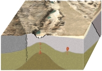 The continental block shown in this figure has a transform boundary, a reverse fault, and a continental rift. What type of activity could cause an earthquake here?   A)  strike-slip faulting B)  normal faulting C)  reverse faulting D)  movement of magma near the rift E)  all of these