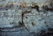 In the trench pictured to the right, the information most important to a geologist studying a prehistoric earthquake is:   A)  there are layers of sediment and soil B)  the sediment is light colored C)  there is a vertical crack in the trench wall D)  the layers have been offset a measurable distance across a crack