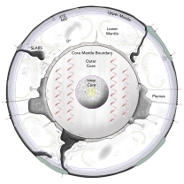 This model of flow within Earth predicts that:   A)  subducted plates pile up on the core-mantle boundary B)  material rises near the core-mantle boundary C)  cold material is more dense and sinks D)  hot material is less dense and rises E)  all of these