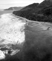This photograph from the 1964 Alaskan earthquake shows a white area of seafloor that was uplifted during the event. What does this observation specifically suggest about how the earthquake might cause damage? A) areas on land could be affected by liquefaction B) areas on land could experience landslides C) this earthquake could have caused a tsunami because it offset the seafloor D) the earthquake could have caused fires because it released sulfur-dioxide gas