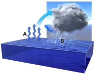 What is the relationship between water vapor at point A and water droplets at point B?   A)  warm vapor at A is caused by the heat released in condensation at point B B)  warm vapor at A is likely not related to condensation at point B C)  warm vapor at A causes cooling and condenses to liquid water at point B D)  water evaporates at point A, rises, and then cools and condenses at point B E)  vapor and water droplets are the behaving the same way