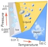 This diagram shows the conditions under which the three phases of water can exist. Which of the following is NOT true?   A)  increasing temperature can cause ice to become liquid B)  increasing temperature can cause liquid to become vapor C)  at low pressure, increasing temperature can cause ice to become vapor D)  decreasing pressure can convert vapor to ice or a liquid