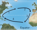 For these ocean currents in the Atlantic, which of these currents is mostly likely to be a warm current?   A)  1 B)  2 C)  3 D)  both 1 and 3 E)  both 2 and 4