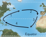 For these ocean currents in the Atlantic, which of these currents is mostly likely to be a cold current?   A)  1 B)  3 C)  4 D)  both 1 and 3 E)  both 2 and 4