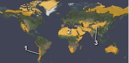 The area marked by number 2 on this figure is a desert primarily because:   A)  it is in the rainshadow of a mountain range B)  it is cooled by cold currents from the Arctic C)  it is within the interior of a continent D)  it experiences dry, descending air in the subtropics