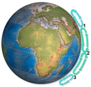 Arrows on this figure shows flow cells in the atmosphere. Which areas)  would most likely be a desert?   A)  1 B)  2 C)  3 D)  1 and 2 E)  1 and 3