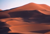 The sand dunes shown in this photograph:   A)  are isolated and have well-defined crescent shapes B)  formed in a wet climate based on their shape C)  are part of a complex dune field D)  are loess deposits E)  are inactive because they have been eroded by running water