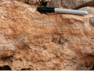 This photograph shows an accumulation of calcium carbonate in the soil. What desert feature is it?   A)  alluvial fan B)  playa C)  caliche D)  desert wash E)  natural stain