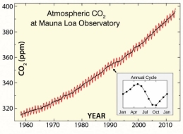 Between 1960 and 2010, atmospheric greenhouse CO<sub>2</sub> has increased by   A)  400 ppm. B)  320 ppm. C)  80 ppm.