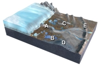 Which of the features labeled on this figure is a terminal or recessional moraine?   A)  A B)  B C)  C D)  D E)  E