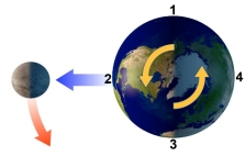 With the Moon in this position, which area will experience high tide?   A)  1 B)  2 C)  3 D)  1 and 3 E)  2 and 4