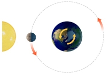 With the Sun and Moon in this position, what does the side of the earth facing the moon experience?   A)  a normal high tide B)  a normal low tide C)  a spring tide D)  a neap tide