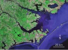 The image shows a coastline that:   A)  has undergone a rise in relative sea level B)  has emerged as relative sea level has fallen C)  is marked by exposed land that was recently below sea level D)  has no sheltered bays or inlets